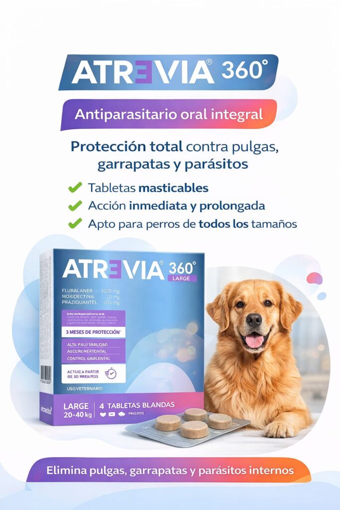 Veterinaria en ciudad doral managua