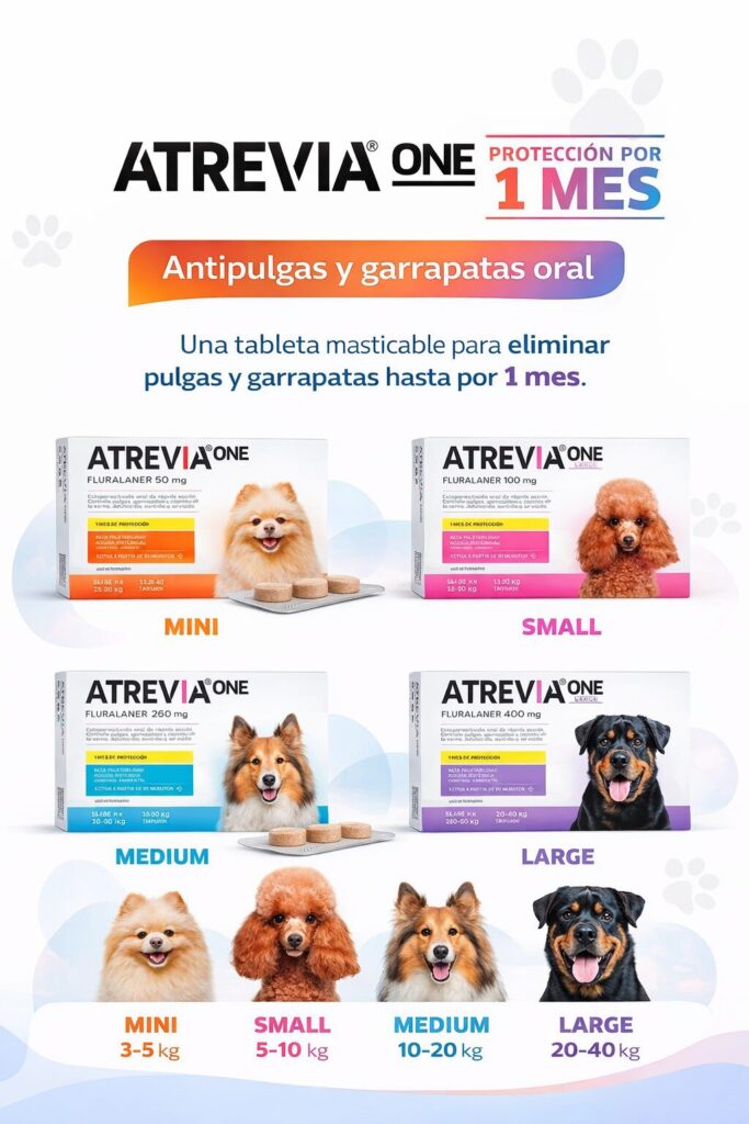 Veterinaria en ciudad doral managua