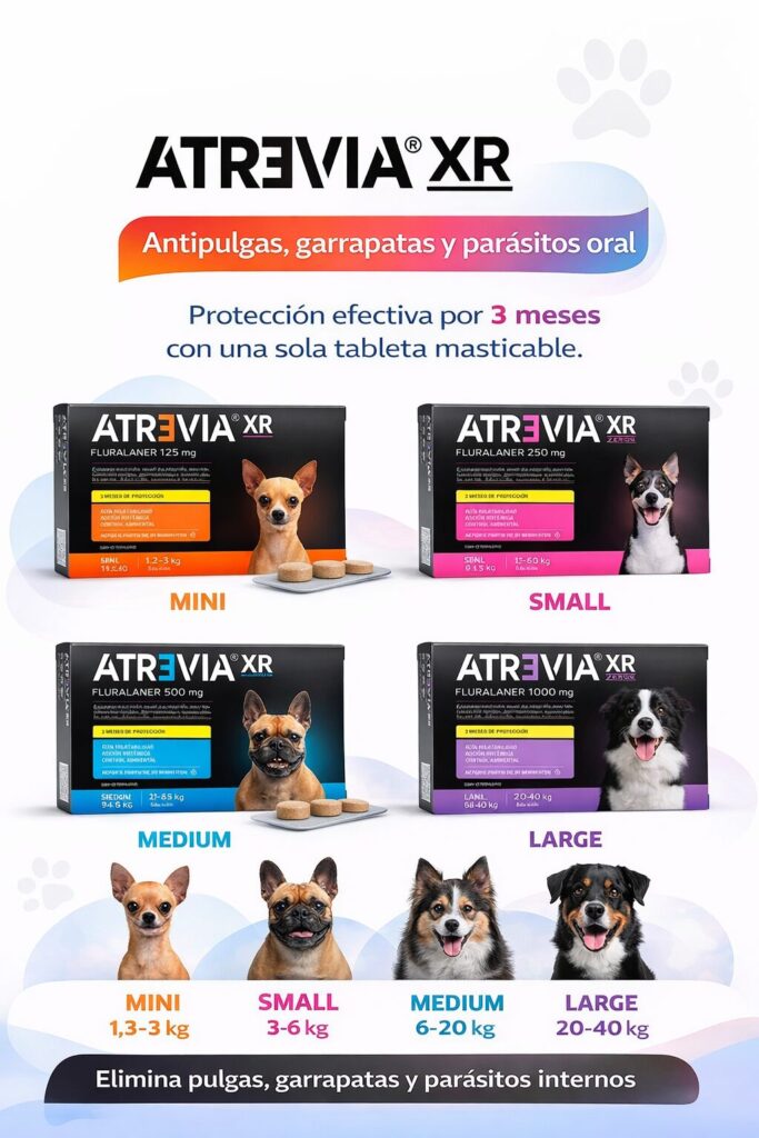 Veterinaria en ciudad doral managua