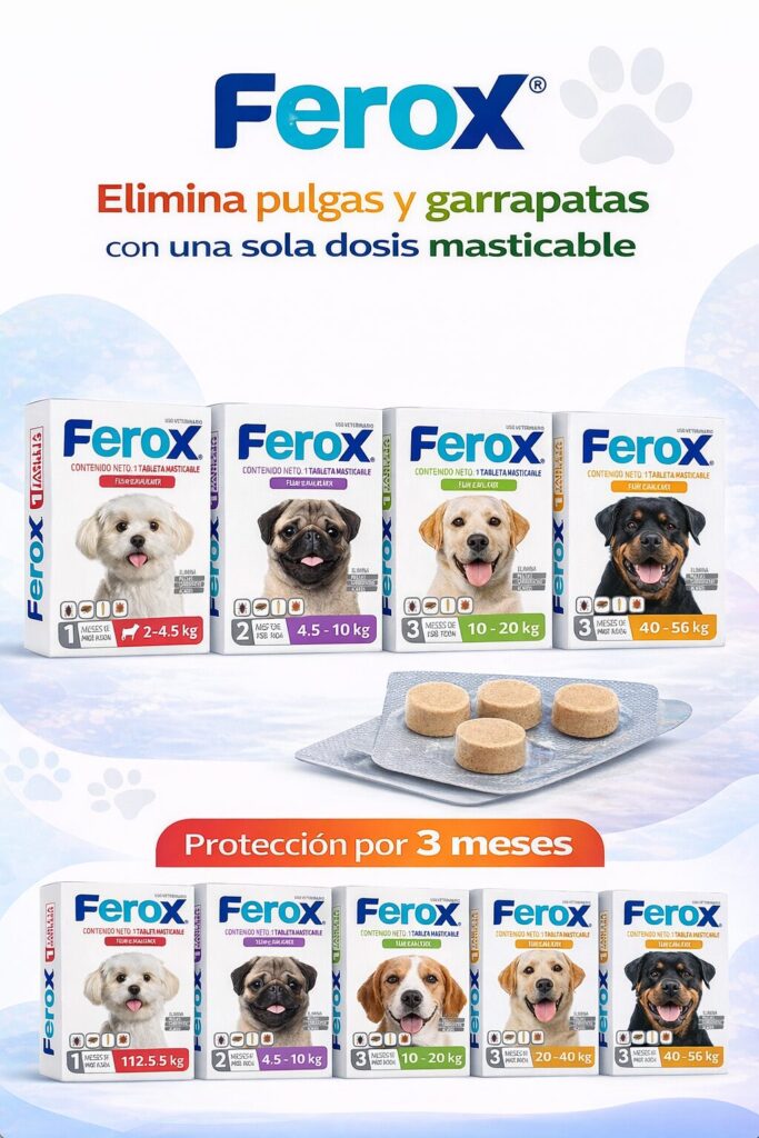 Veterinaria en ciudad doral managua