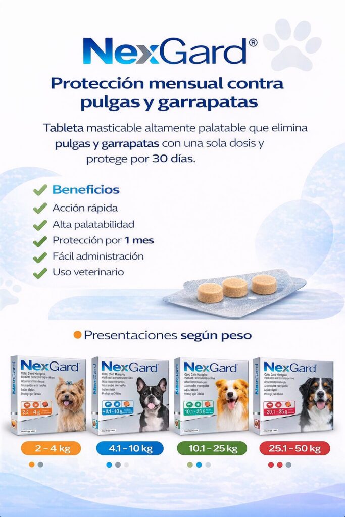 Veterinaria en ciudad doral managua