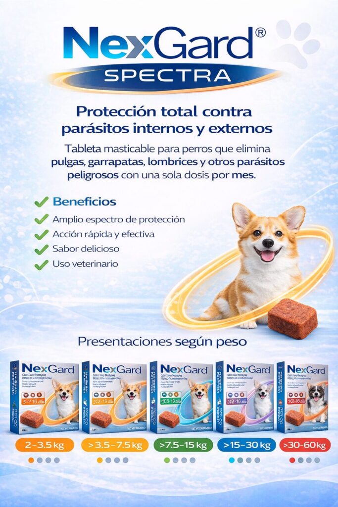 chatgpt image 15 feb 2026, 16 34 08