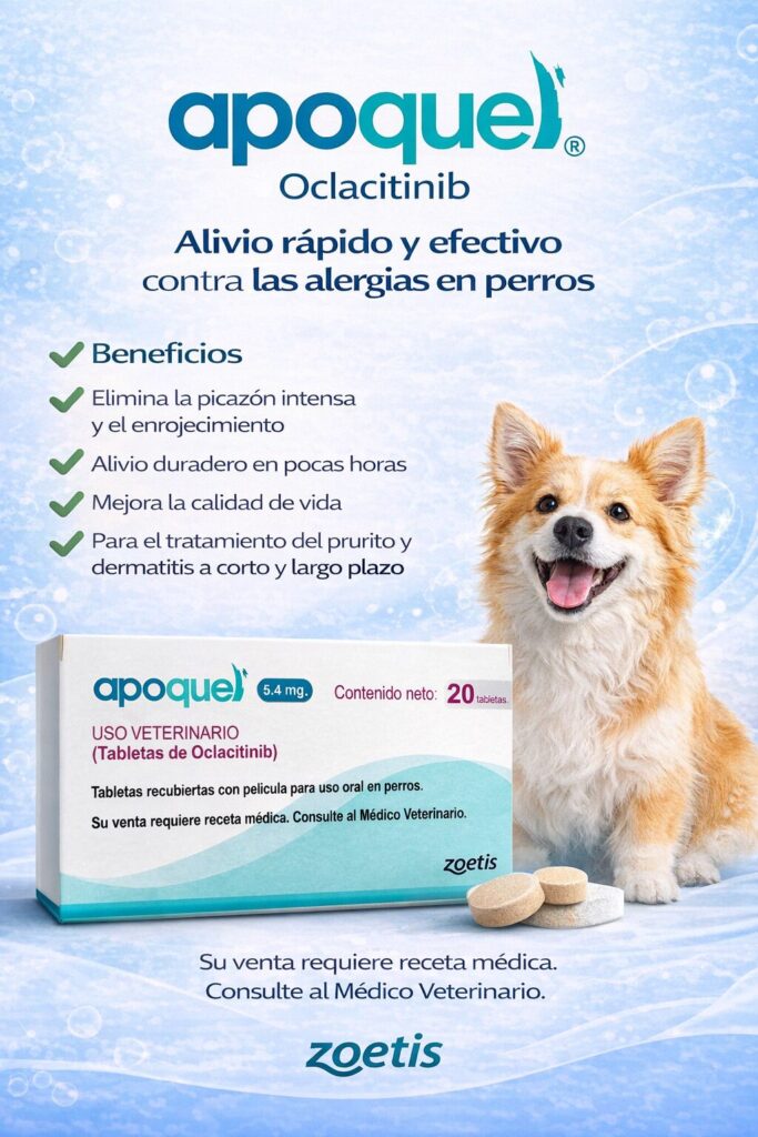 chatgpt image 15 feb 2026, 16 56 51